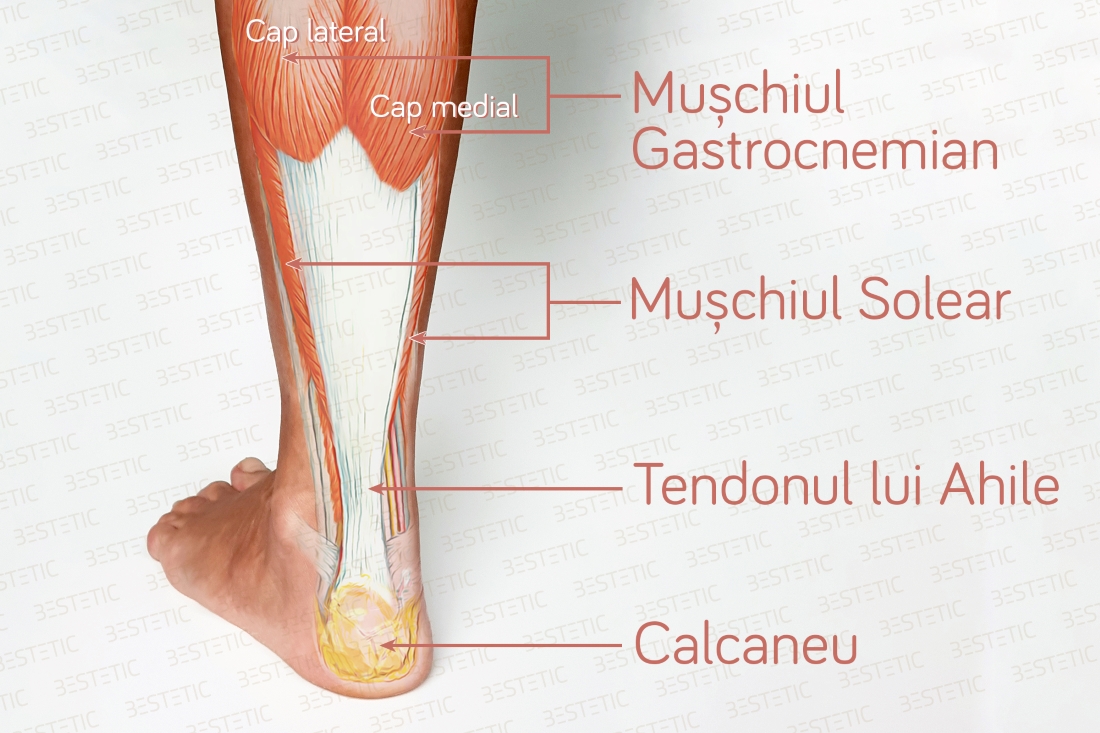 Tendinita ahiliana (leziunea la tendonul lui Ahile) - primul ajutor